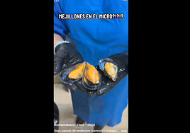 Noe, pescadera, revela el truco definitivo para cocer los mejillones en el microondas: «Esto es un espectáculo»