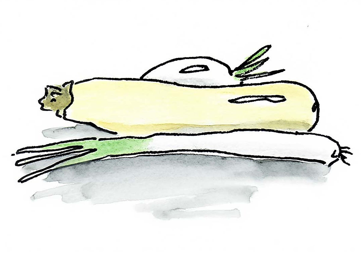 Los principales ingrediente de nuestra crema