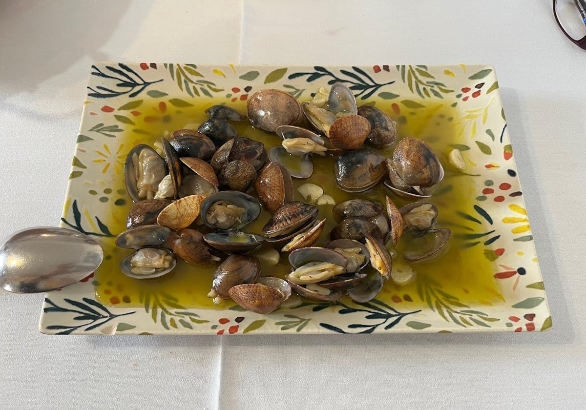 Plato de coquinas servido en uno de estos 10 restaurantes de la costa de Huelva que abren durante el invierno