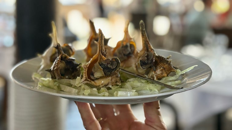 Plato de cañaíllas servido en Casa Diego