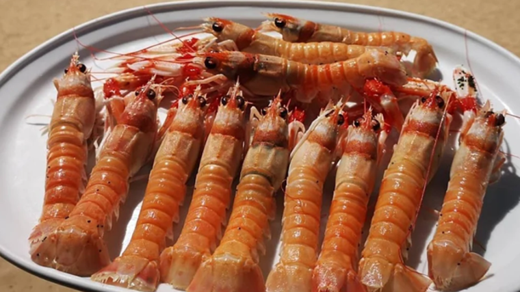 Plato de cigalas servido en el Restaurante Casa El Palo