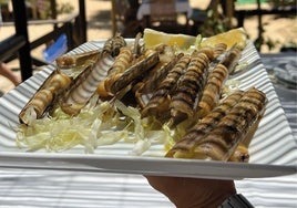 Las mejores terrazas chill out de Huelva para tomar algo frente al mar