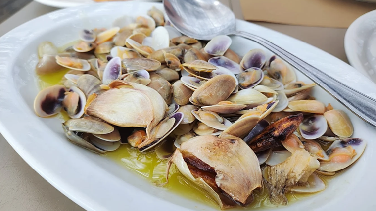 Plato de coquinas servido en el Chiringuito Camarón