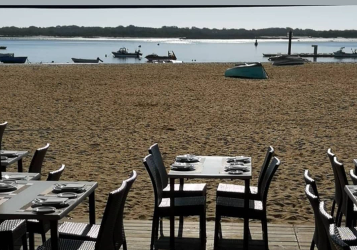 Vistas a un paraíso natural que ofrece un restaurante en El Rompido