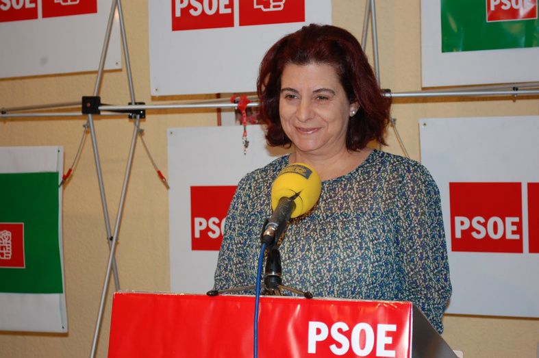 El PP condena el agravio de una socialista a otro edil 'por su condición sexual'