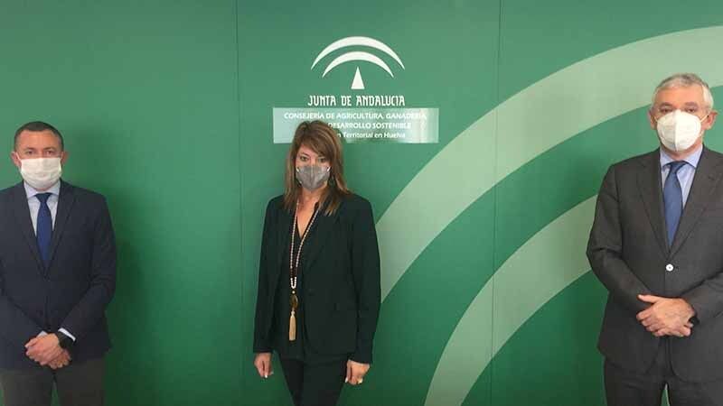 Pilar Miranda se reúne con el nuevo delegado territorial de Medio Ambiente