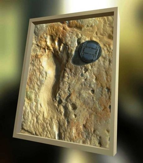 Identifican en Matalascañas las pisadas más antiguas del mundo de neandertales del pleistoceno superior