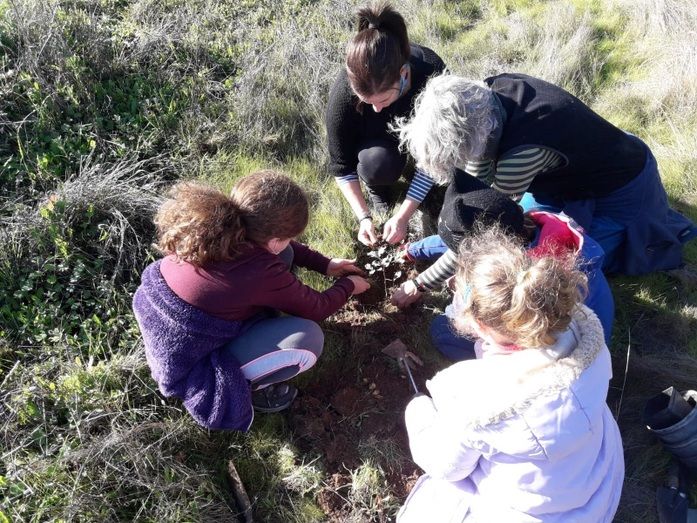 Plantación reivindicativa en Cueva de la Mora con 5.000 bellotas y 500 árboles