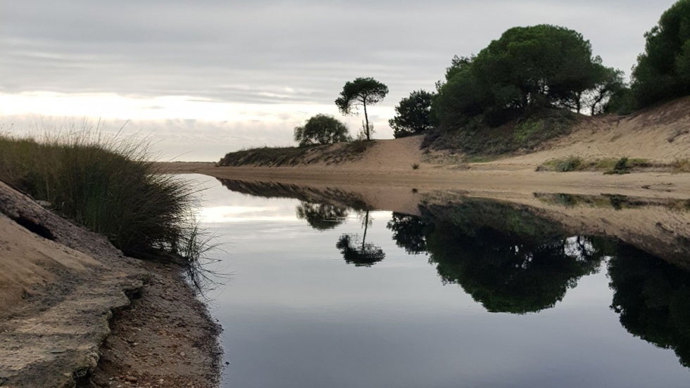 Denuncian un vertido de aguas residuales al Caño de la Culata, en El Portil