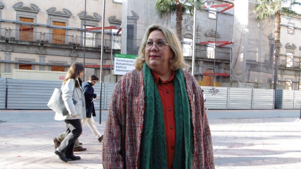 IU critica a la Junta el 'maltrato absolutamente intolerable' a Huelva con el tapado de los restos tartésicos