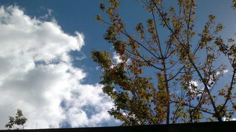 Las temperaturas seguirán subiendo esta semana y podrían alcanzar los 27 grados