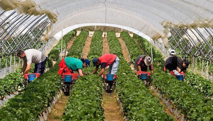 Huelva, excepción nacional a una subida generalizada del paro