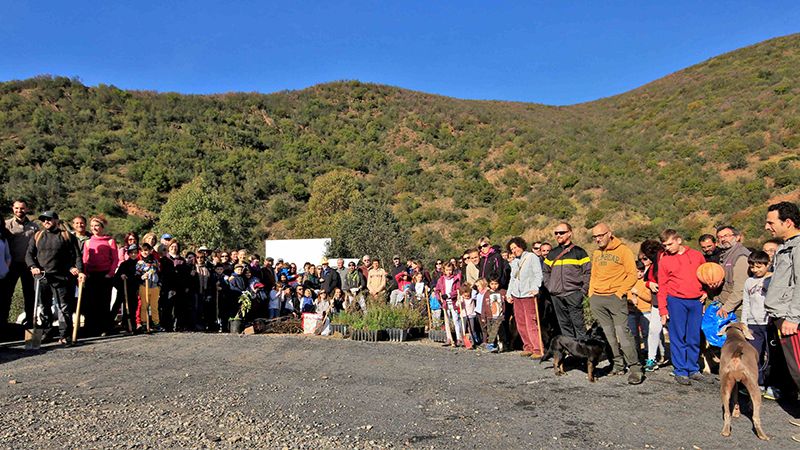 Nueva plantación en Berrocal