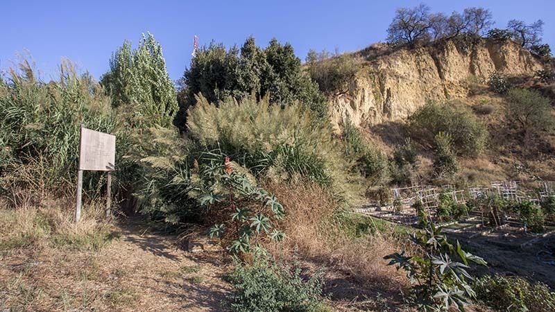 Ultiman los proyectos de rehabilitación del mirador superior del Conquero y la Fuente Vieja