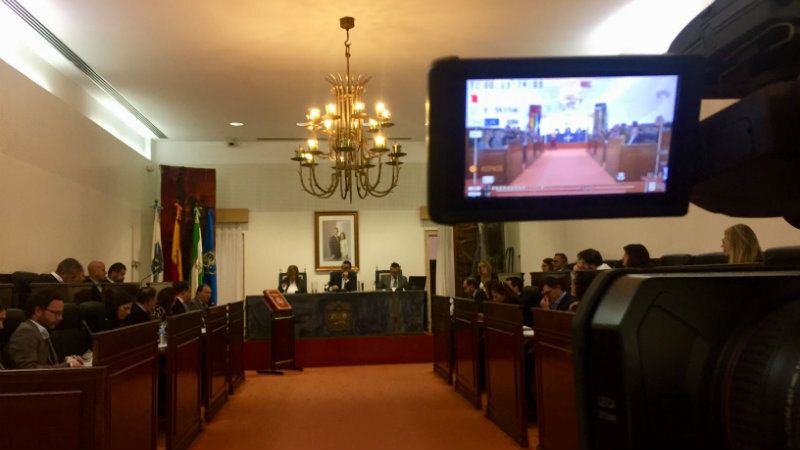 El Pleno de la Diputación ratifica una Declaración Institucional apoyando la defensa del cerdo ibérico en extensivo