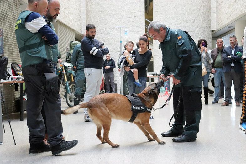 El perro Tor, gran atracción en la exhibición de medios de la Guardia Civil en el Hospital Juan Ramón Jiménez