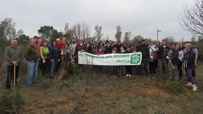 Ecologistas en Acción culmina su plantación de arboles y arbustos en Doñana