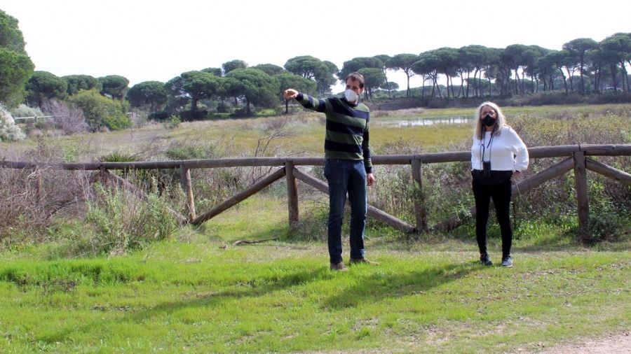 Tecnología y nuevas rutas para disfrutar de los senderos del pinar de Cartaya