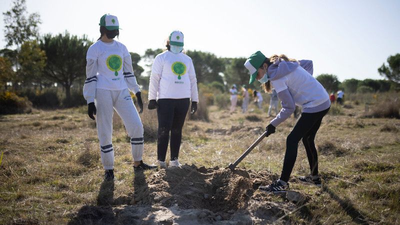 Escolares plantan un centenar de árboles en la zona de Doñana afectada por el incendio de 2017