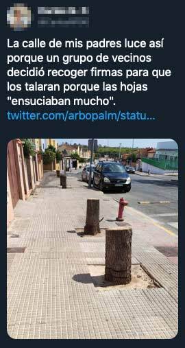 El runrún: Tala criminal en Aljaraque