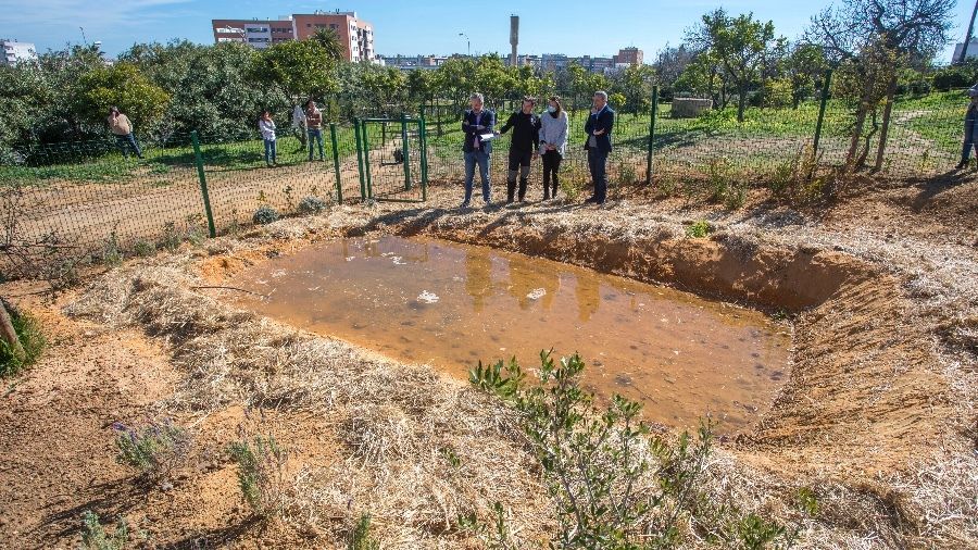 El Parque Moret cuenta con una nueva charca para anfibios