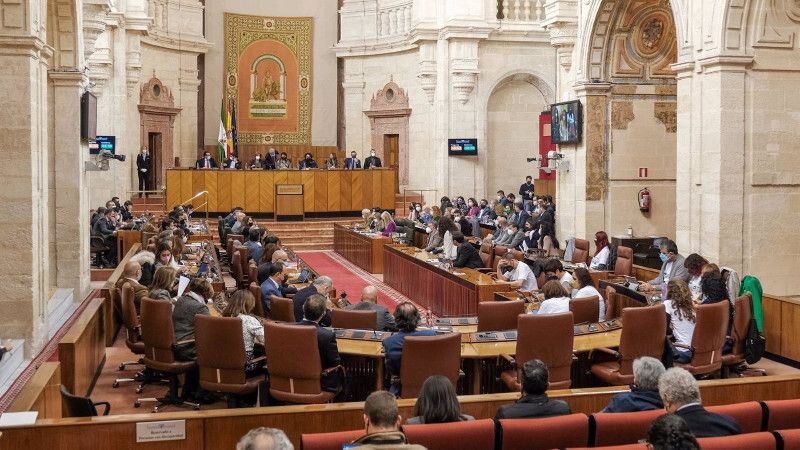 El Parlamento da luz verde a la propuesta para legalizar regadíos en Doñana con la abstención de PSOE