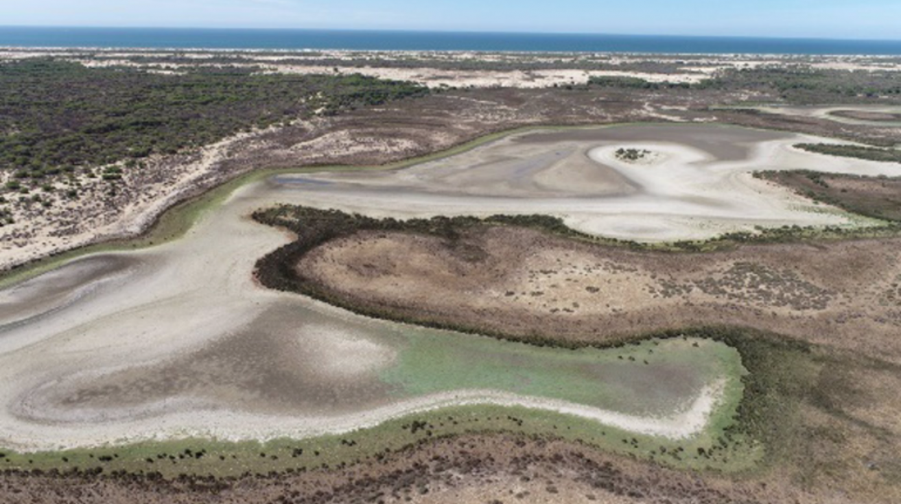 Doñana cerró 2022 con 'récord' de temperatura máxima, mínimas de precipitaciones y escasez de aves invernantes