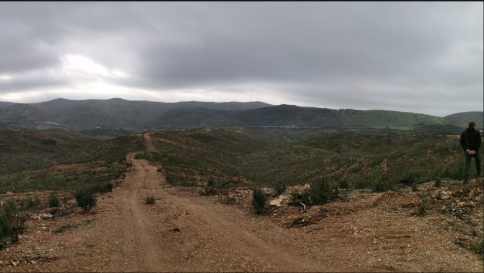 Diputación realiza una segunda reforestación de los terrenos afectados por el incendio de Almonaster