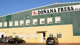 CCOO denuncia ante la Inspección de Trabajo a la empresa almonteña Doñana Fresa