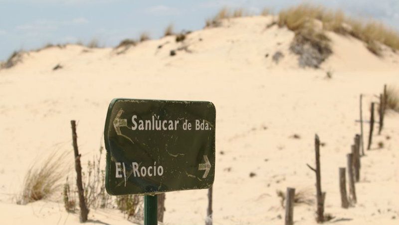 Doñana también cierra las visitas a todos sus itinerarios por el coronavirus