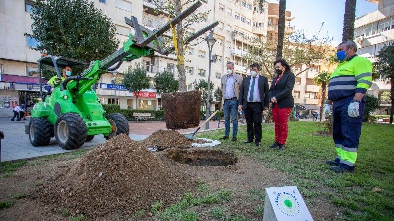 Árboles para mover conciencias: el Ayuntamiento se suma con una plantación en El Punto