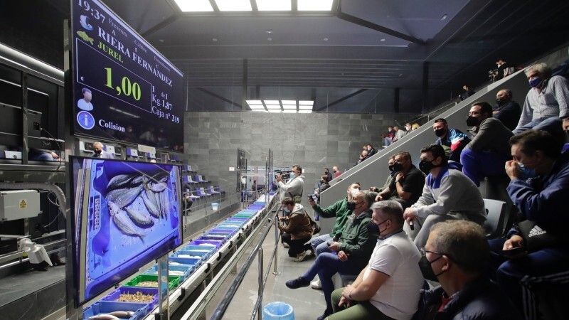 La nueva lonja inicia su actividad para posicionar el sector pesquero onubense
