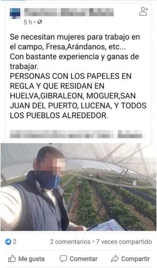 El runrún: Trabajar en el campo, ¿solo para mujeres?
