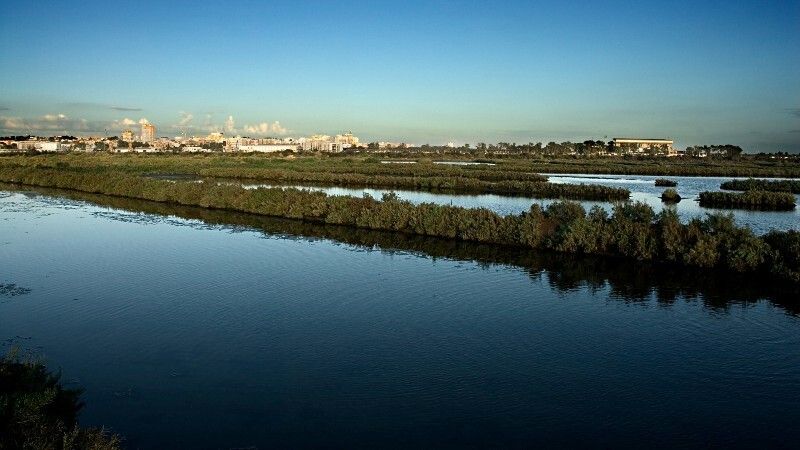La Diputación participa en un estudio europeo para la conservación de la biodiversidad del litoral onubense