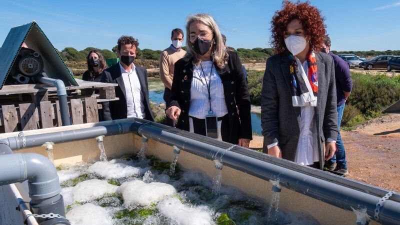 Diputación y Cash Lepe renuevan su unión para lanzar las becas de inserción laboral HEBE Capacita El Jamón