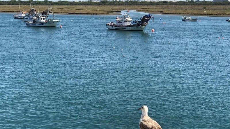 La flota pesquera de Huelva, amarrada a puerto al 100% por el precio del combustible