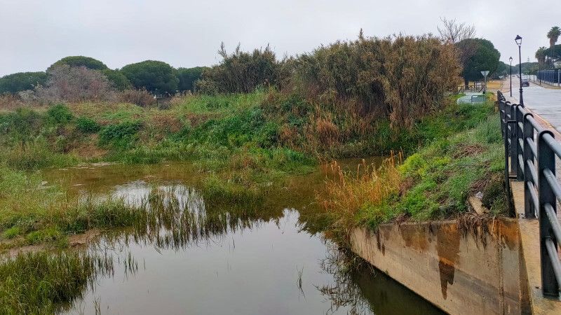 Admitida a trámite la reclamación de los vecinos de La Dehesa por el 'abandono' del arroyo del Chorrillo