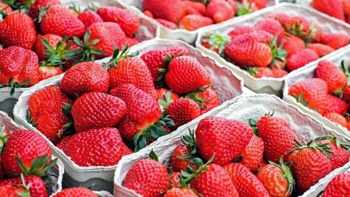 El runrún: Dinamarca se niega a vender fresas de Huelva