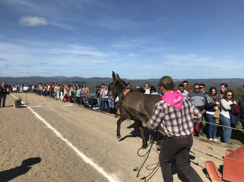 Planes en Huelva y provincia en el fin de semana del arranque de la Semana Santa