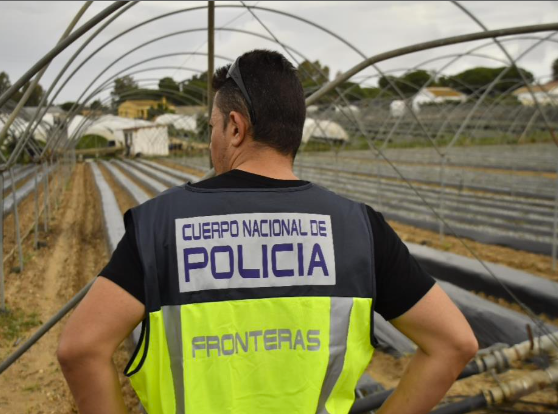 Detenido un empresario de Lepe por ofrecer contratos de trabajo falsos a 41 extranjeros a cambio de 4.000 euros