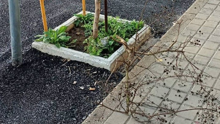 El Ayuntamiento de Galaroza denuncia nuevos actos vandálicos en la localidad