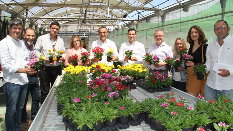 La Diputación le entrega a alcaldes y alcaldesas de ocho municipios serranos 2.600 plantas de temporada