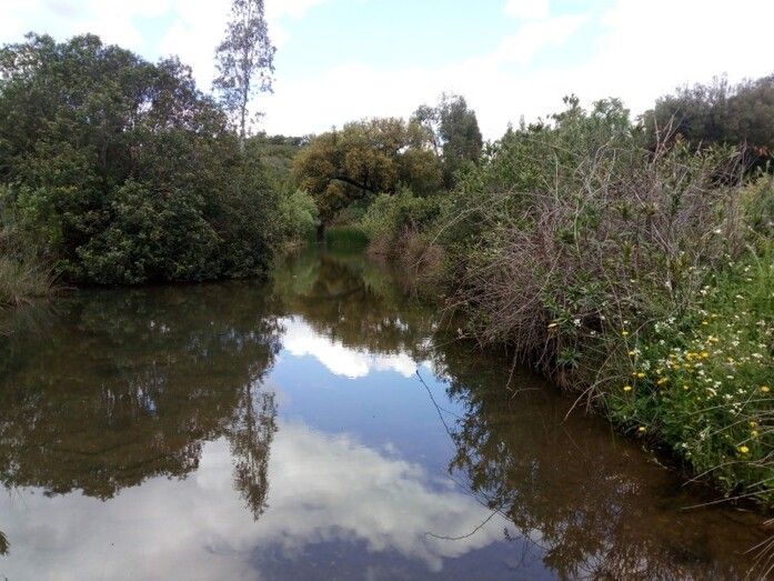 Diputación comienza las obras de construcción del puente sobre el arroyo Tamujoso