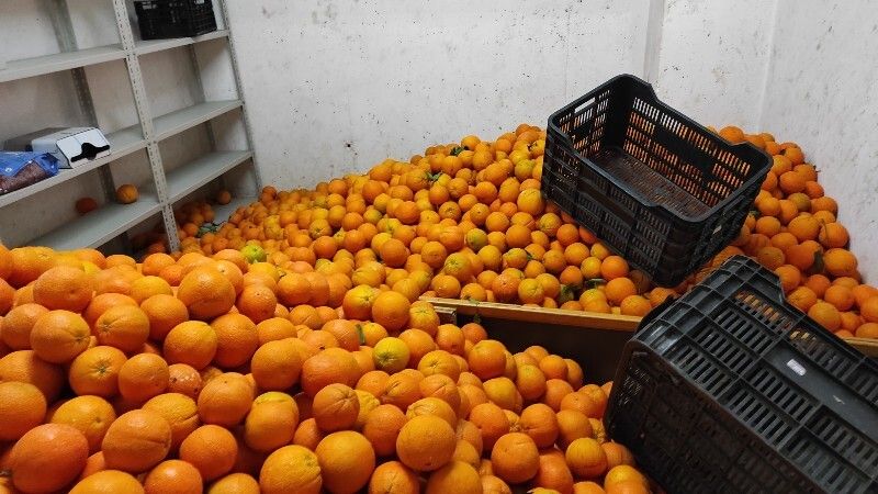 Incautan en el Torrejón 3.500 kilos de naranjas que iban a destinarse a la venta ambulante ilegal