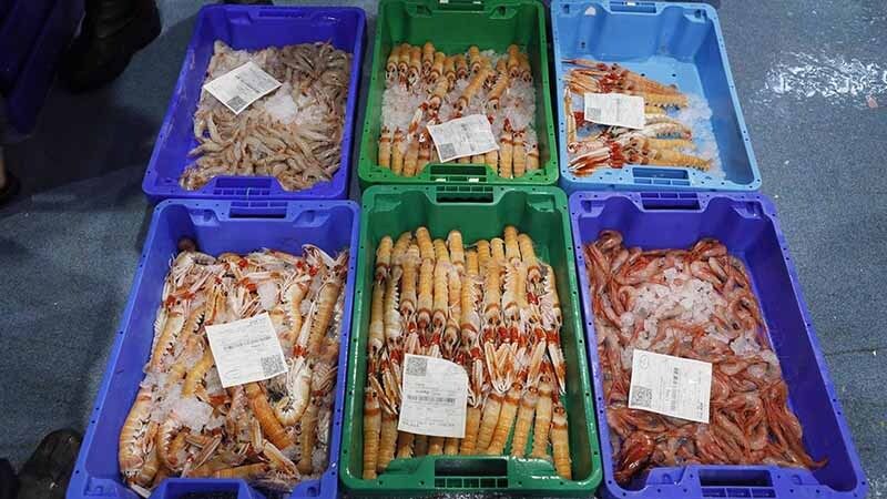 Adaptación al coronavirus: la lonja online de Ayamonte multiplica por ocho los pedidos