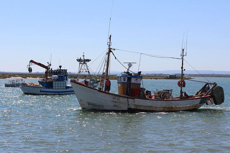 Destinan 720.000 euros a embarcaciones afectadas por paros temporales de la pesca de la chirla