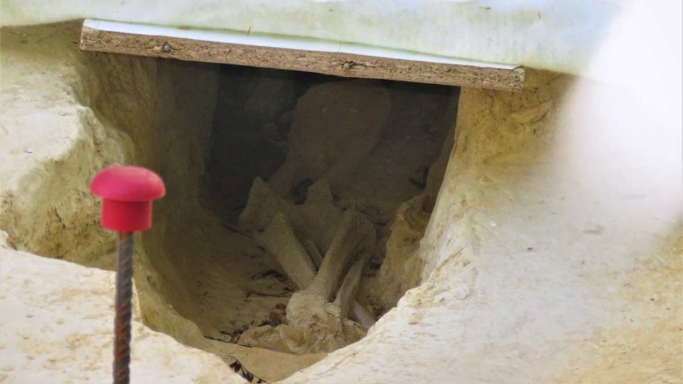 Denuncian la ocultación de tumbas halladas en obras del centro y El Torrejón