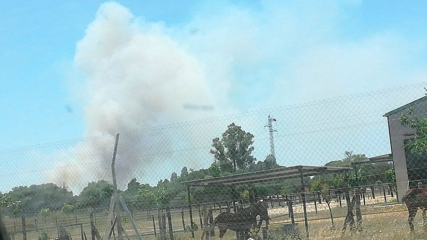 Controlado el incendio en la Finca los Mimbrales