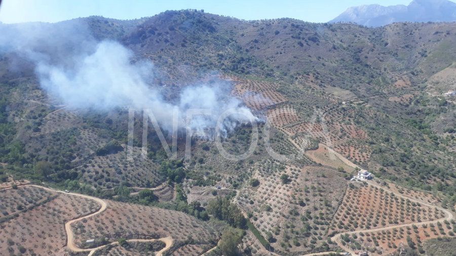 Dan por controlado el incendio forestal en Almonte