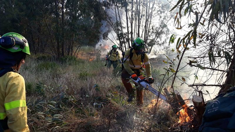 Dan por controlado el incendio forestal en Almonte